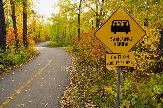 Sentiero asfaltato in autunno — Foto stock
