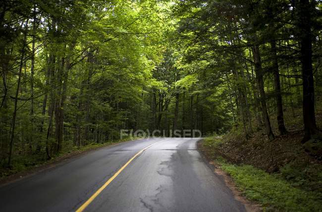 Carretera en Muskoka, Ontario - foto de stock