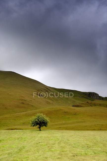 Stormy Skies over field — Stock Photo