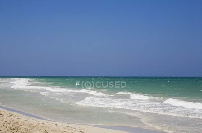 View of caribbean seascape — Stock Photo