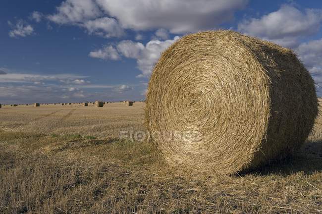 Hay Bales In Autumn — Stock Photo