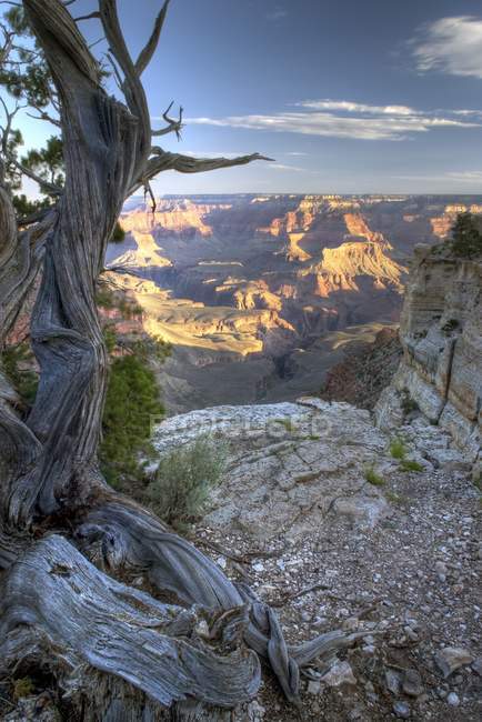 Vue grand angle du Grand Canyon — Photo de stock