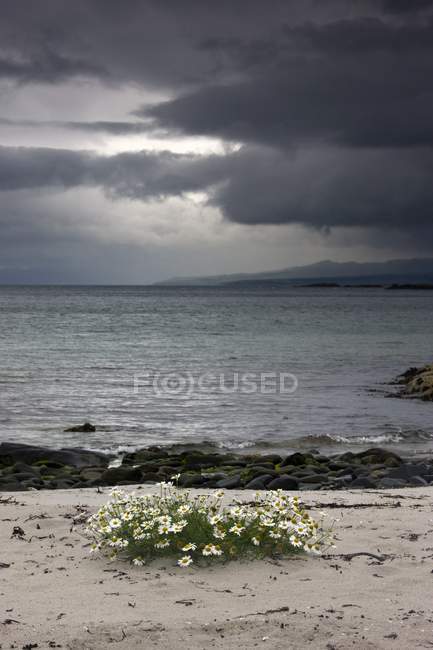 Storm Brewing above sea — Stock Photo