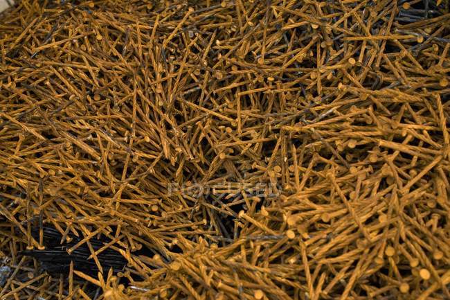 Collection Of Rusty Nails — Stock Photo