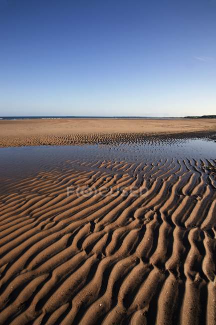 Wellen im nassen Sand — Stockfoto