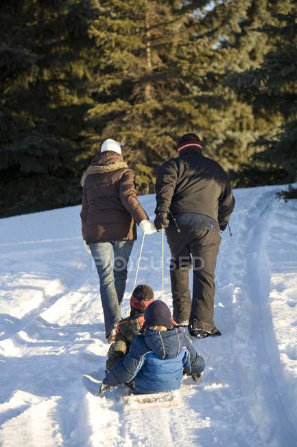 Вид сзади на счастливую кавказскую семью, родителей, несущих сани с детьми на зимнем снегу — стоковое фото