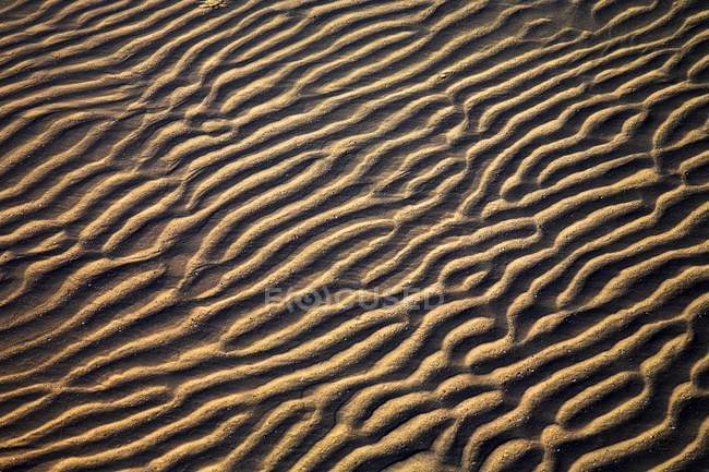 Zanzibar, Tanzania; Sand Patterns — Stock Photo