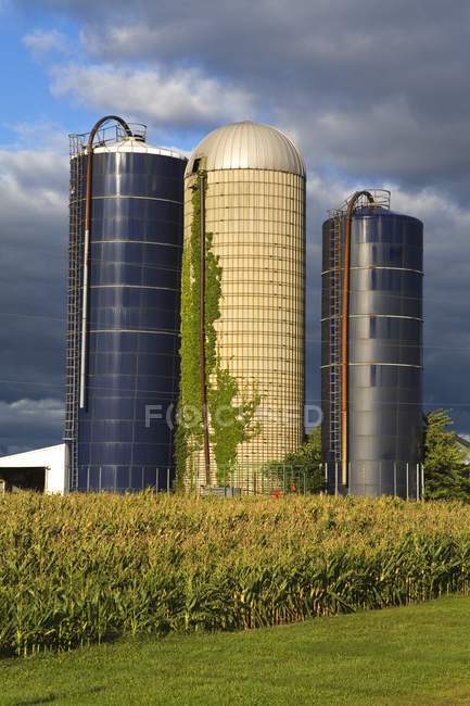 Getreidesilos in Lyonen — Stockfoto