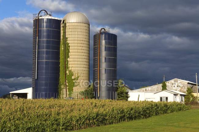 Fazenda, Lyon, Grande Rochester Area — Fotografia de Stock