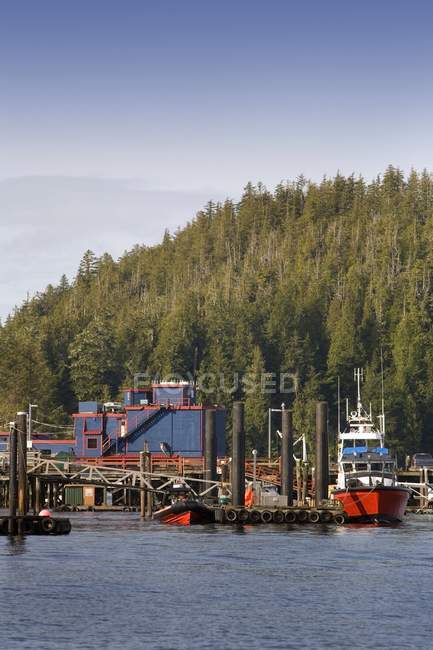 Tofino, Ilha de Vancouver — Fotografia de Stock