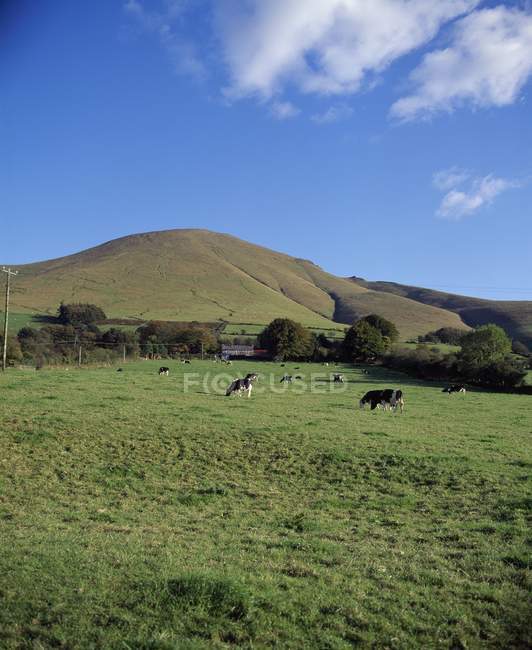 View Of Farmland And Galtee Mountains — Stock Photo