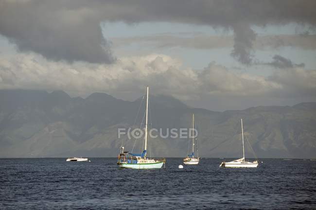 Sailboats In The Water — Stock Photo