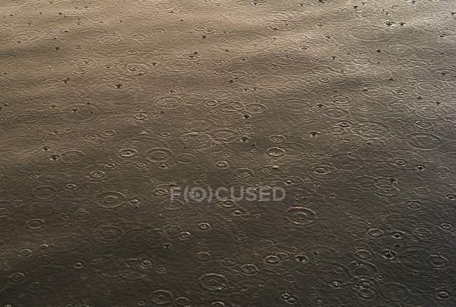 Pioggia che cade sull'acqua — Foto stock