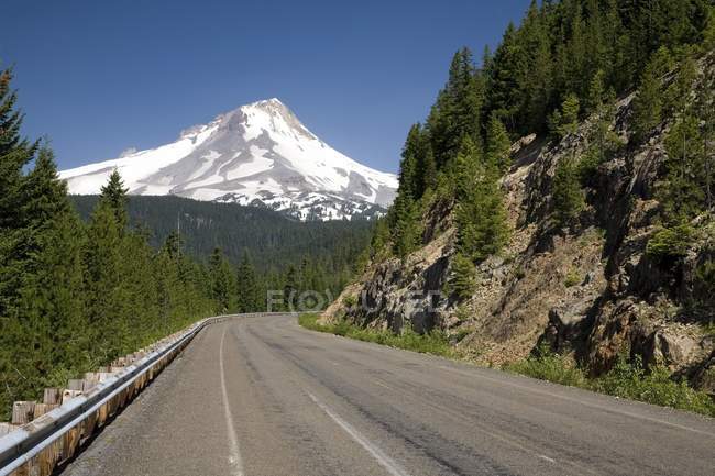 Auto-estrada através da floresta nacional — Fotografia de Stock