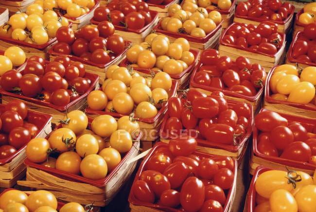 Tomatoes in crates At Market — Stock Photo