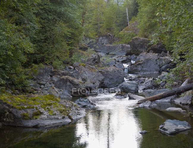 Elk Falls, Columbia Británica, Canadá - foto de stock