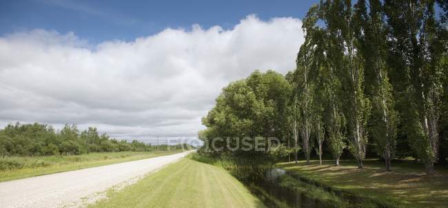 Estrada rural com árvores — Fotografia de Stock