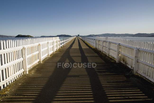 Wellington, Nueva Zelanda; Petone Wharf sobre agua de mar - foto de stock