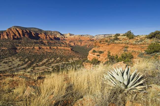 Desert Landscape In Sedona, Arizona — Stock Photo