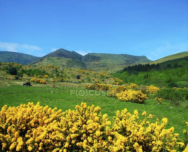 Montagnes Comeragh, comté de Waterford — Photo de stock