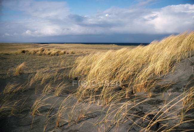 View of field in Inishmaan — Stock Photo