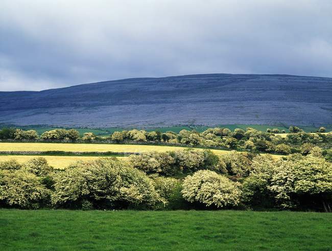 Vista panorámica de The Burren - foto de stock