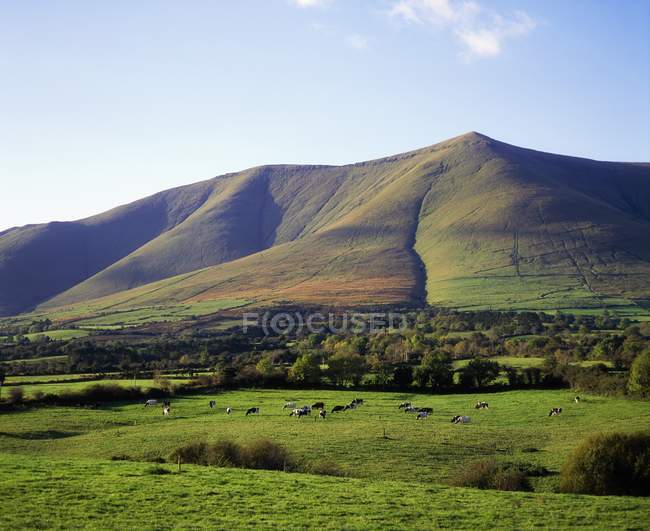 Montagne Galtee, contea di Tipperary — Foto stock