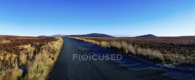 Military Road surrounded by dry grass — Stock Photo