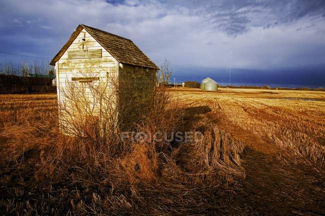 Farm Shack no campo — Fotografia de Stock