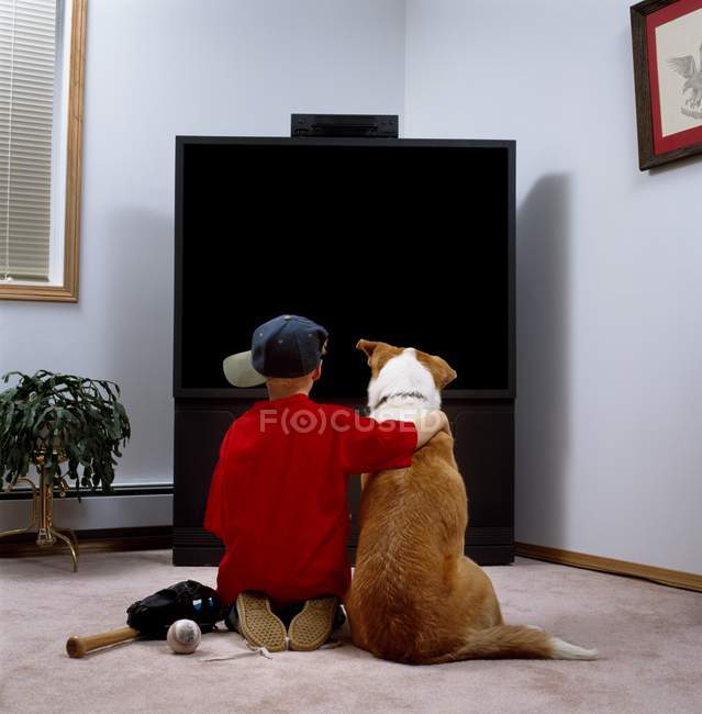 Vue arrière du petit garçon et de son chien regardant la télévision. écran vierge — Photo de stock