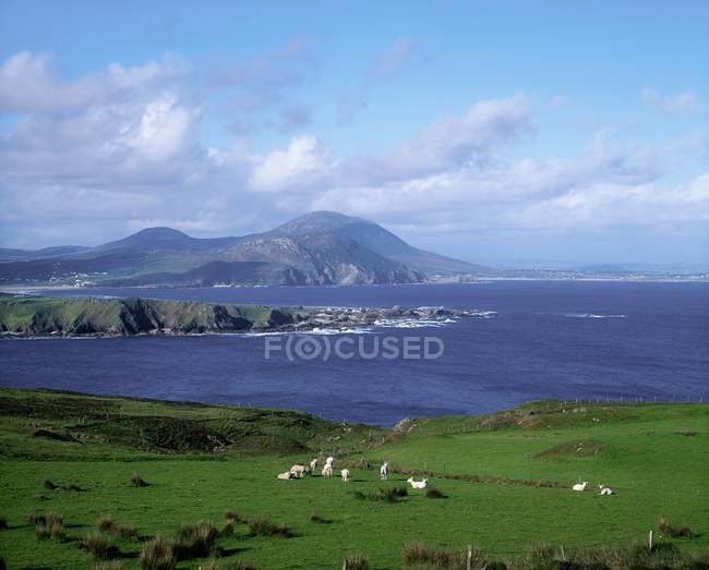 Péninsule d'Inishowen, comté de Donegal — Photo de stock