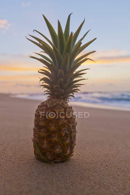 Fresh raw Pineapple laying on sandy beach against blurred water — Stock Photo