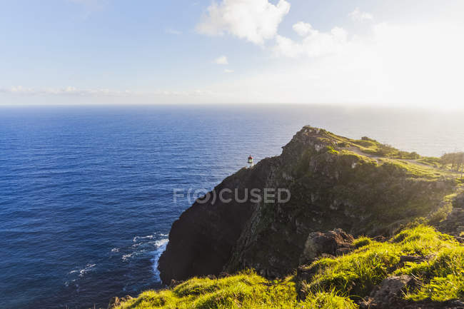 Зелена трава покрита скелею над морською водою з маяком вдень — стокове фото
