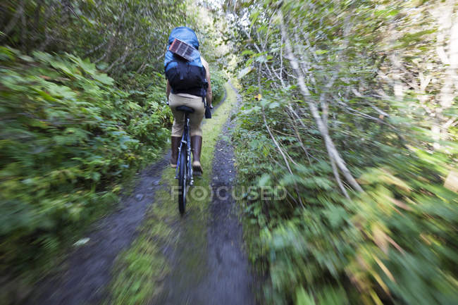 Una mujer en bicicleta de montaña por un sendero en un bosque con una mochila; Alaska, Estados Unidos de América - foto de stock