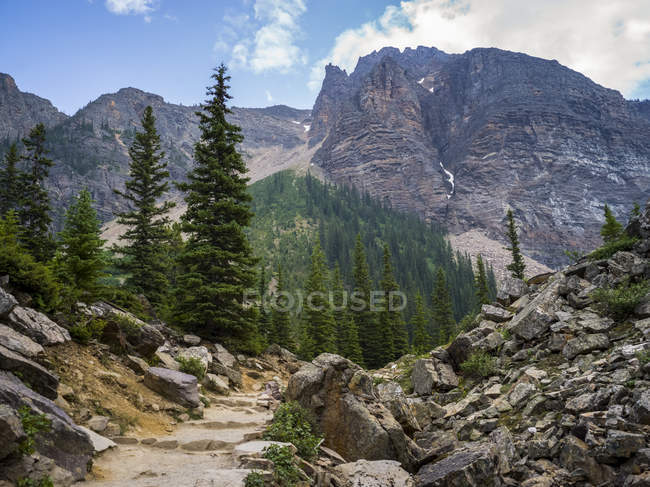 Vecchie scale tra gli alberi in montagna con cime sullo sfondo durante il giorno — Foto stock