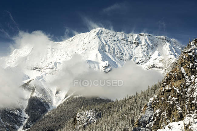 Montaña cubierta de nieve con niebla y árboles cubiertos de nieve con cielo azul; Alberta, Canadá - foto de stock