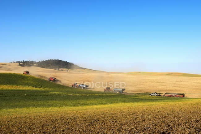 Harvesting A Crop On Fields Against A Blue Sky; Washington, United States Of America — Stock Photo