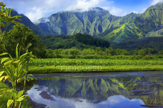 Montagnes vertes sommets reflétés dans l'eau claire du lac avec de l'herbe sur le rivage — Photo de stock