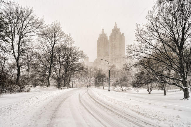 Schneesturm im Central Park; New York City, New York, Vereinigte Staaten von Amerika — Stockfoto