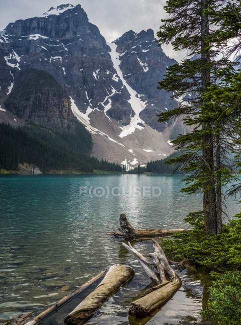 Lake water on foot of mountain during daytime and driftwood on shore — Stock Photo