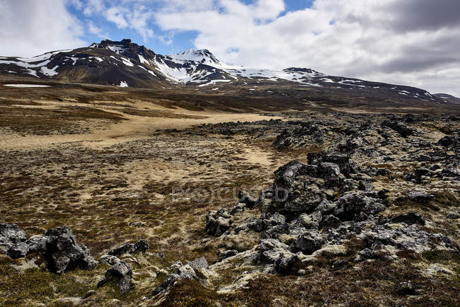 Blick auf Felder und Schneegipfel im Hintergrund, snaefellsjoekull Nationalpark, snaefellsnes Halbinsel; Island — Stockfoto