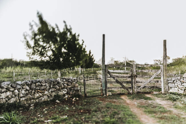 View of old gates and stone fence over field and rural dirt road — Stock Photo