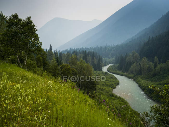 Vue de l'eau de la rivière entourée de pentes montagneuses et d'arbres sur les rives pendant la journée — Photo de stock