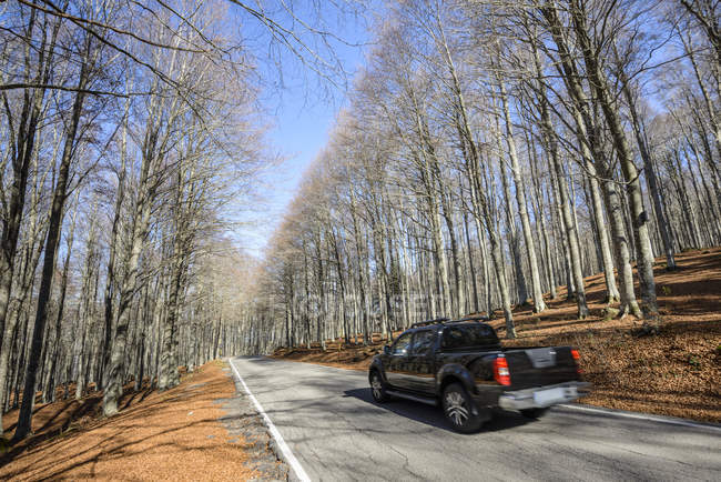 Vista de estrada e carro em movimento com árvores nas laterais durante o dia — Fotografia de Stock