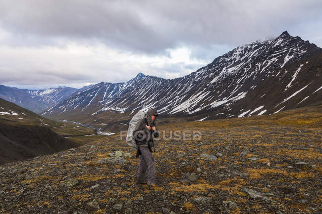 Man with covered backpack walking over mountain field with plants and peaks on background — Stock Photo