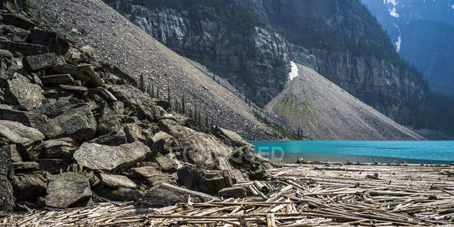 Mucchio di legname alla deriva sulla riva del fiume a piedi di montagna durante il giorno — Foto stock