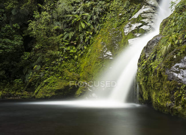 Waterfall and pond against rock with plants during daytime — Stock Photo