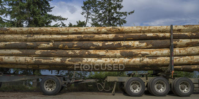 Large logs loaded on a transport truck; Riondel, British Columbia, Canada — Stock Photo