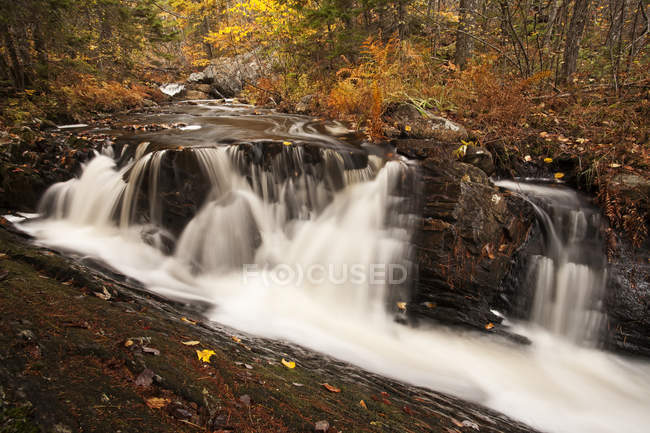 Água descendo sobre pedras e rochas na floresta com árvores nas margens durante o dia — Fotografia de Stock