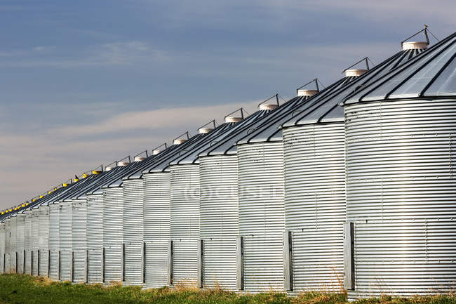 Primer plano de una larga fila de contenedores de grano de metal brillante que refleja la luz del sol con cielo azul y nubes; Beiseker, Alberta, Canadá - foto de stock
